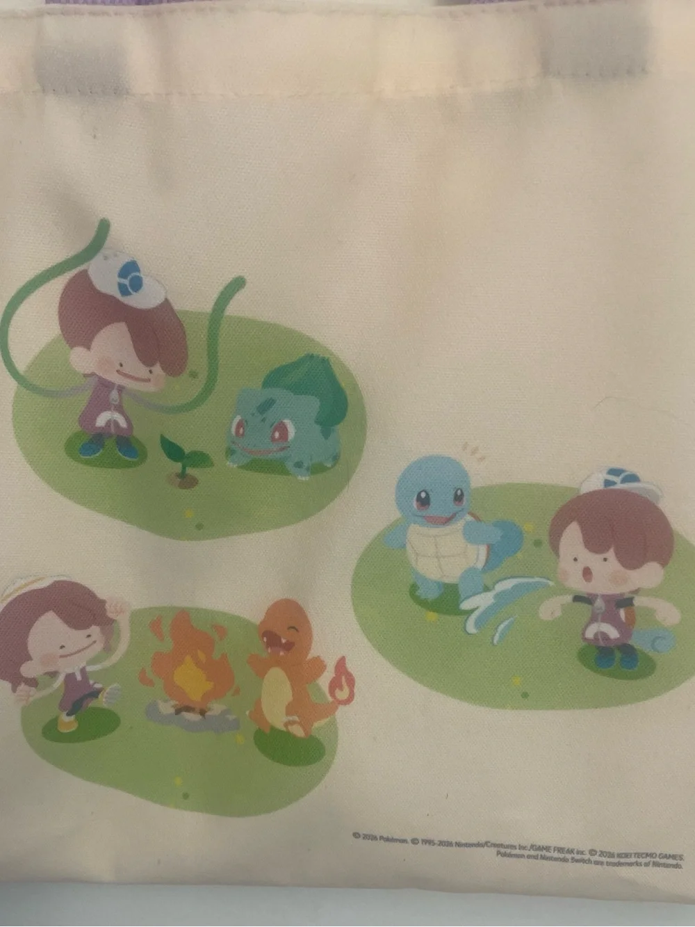 Pokémon Pokopia Canvas Tote Bag Pyrole Handles 11x 13 inches  EUC 2026